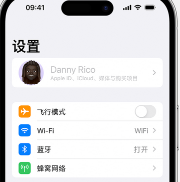 长丰镇appleID维修服务iPhone设置中Apple ID显示为灰色无法使用