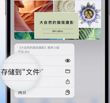 长丰镇apple维修中心分享iPhone文件应用中存储和找到下载文件