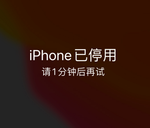 长丰镇苹果手机维修分享:iPhone 显示“不可用”或“已停用”怎么办？还能保留数据吗？ 