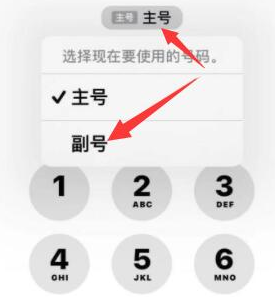 长丰镇苹果14维修店分享iPhone 14 Pro Max使用副卡打电话的方法 