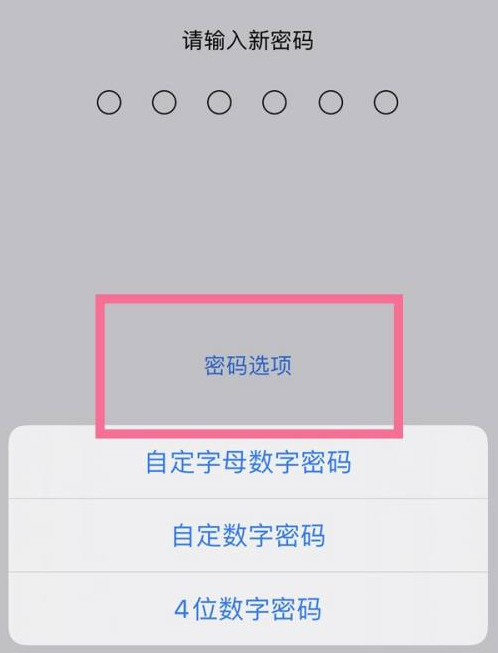 长丰镇苹果14维修分享iPhone 14plus设置密码的方法 