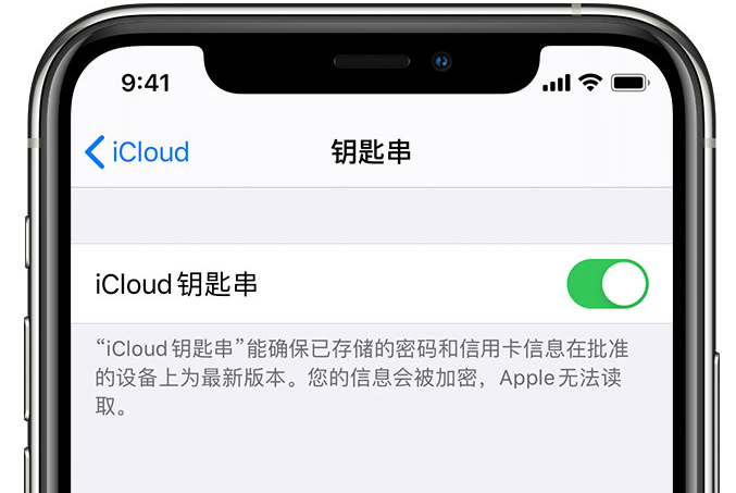 长丰镇苹果手机维修分享在 iPhone 上开启 iCloud 钥匙串之后会储存哪些信息 