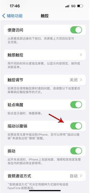 长丰镇苹果手机维修分享iPhone手机如何设置摇一摇删除文字 