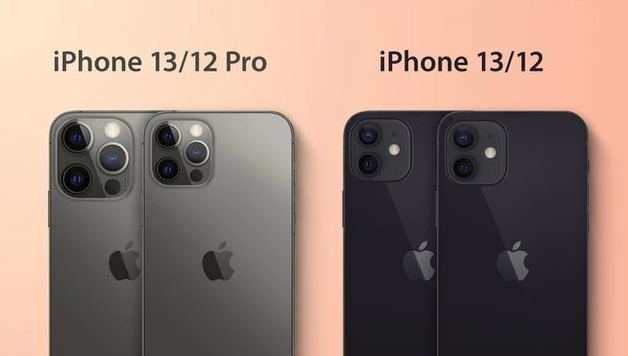 长丰镇苹果手机维修分享iPhone 13 摄像头长什么样 