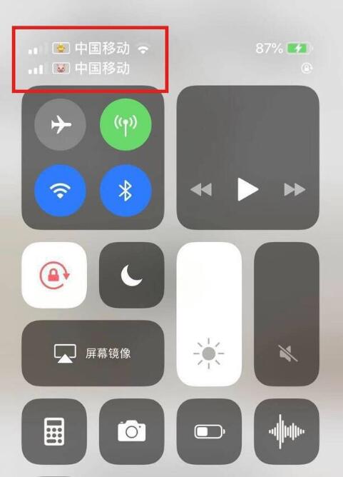 长丰镇苹果手机维修分享为 iPhone 12 双卡设置标签 