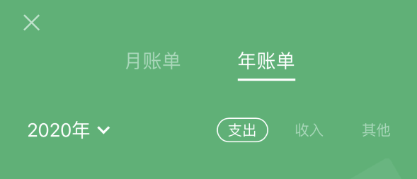 长丰镇苹果手机维修分享如何在 iPhone 上查看支付宝和微信年支出账单 