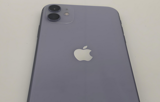 长丰镇苹果11系统维修分享iPhone11手机系统崩溃无法开机如何解决 
